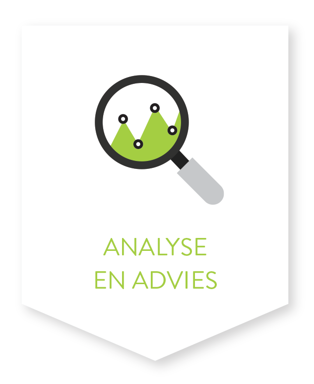 Analyse & Advies