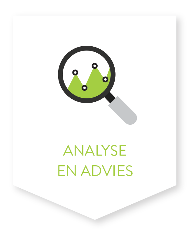 Analyse & advies